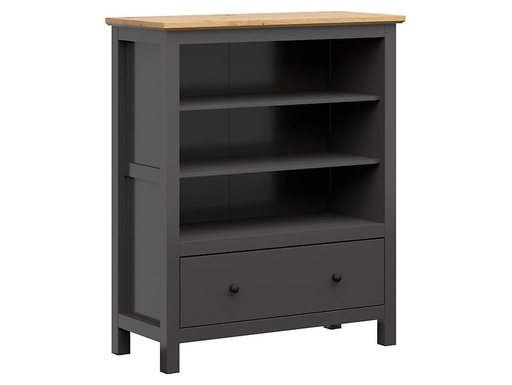 [S515-REG1S-GF/DASN] Hesen
